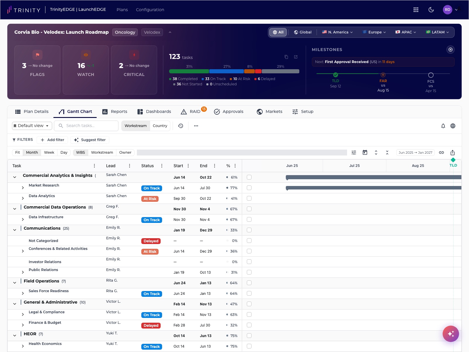 Gantt view — workstreams and tasks with lead, status, dates, and percent complete against a scrollable timeline.